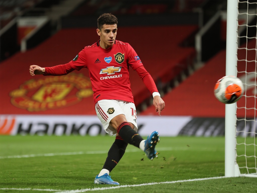 丰富经验也 丰富经验也